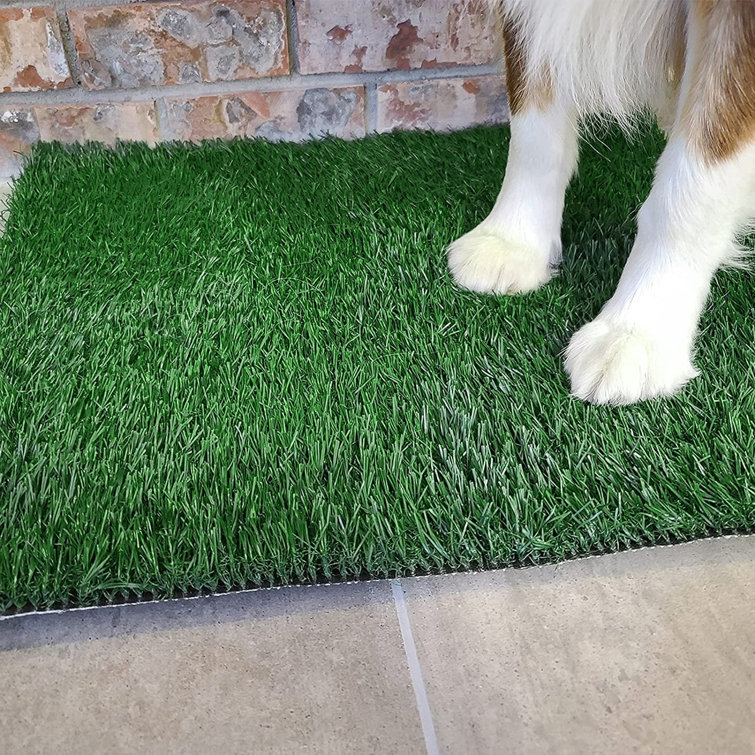 Tucker Murphy Pet Dog Grass Pet Loo Indoor Outdoor Portable Potty